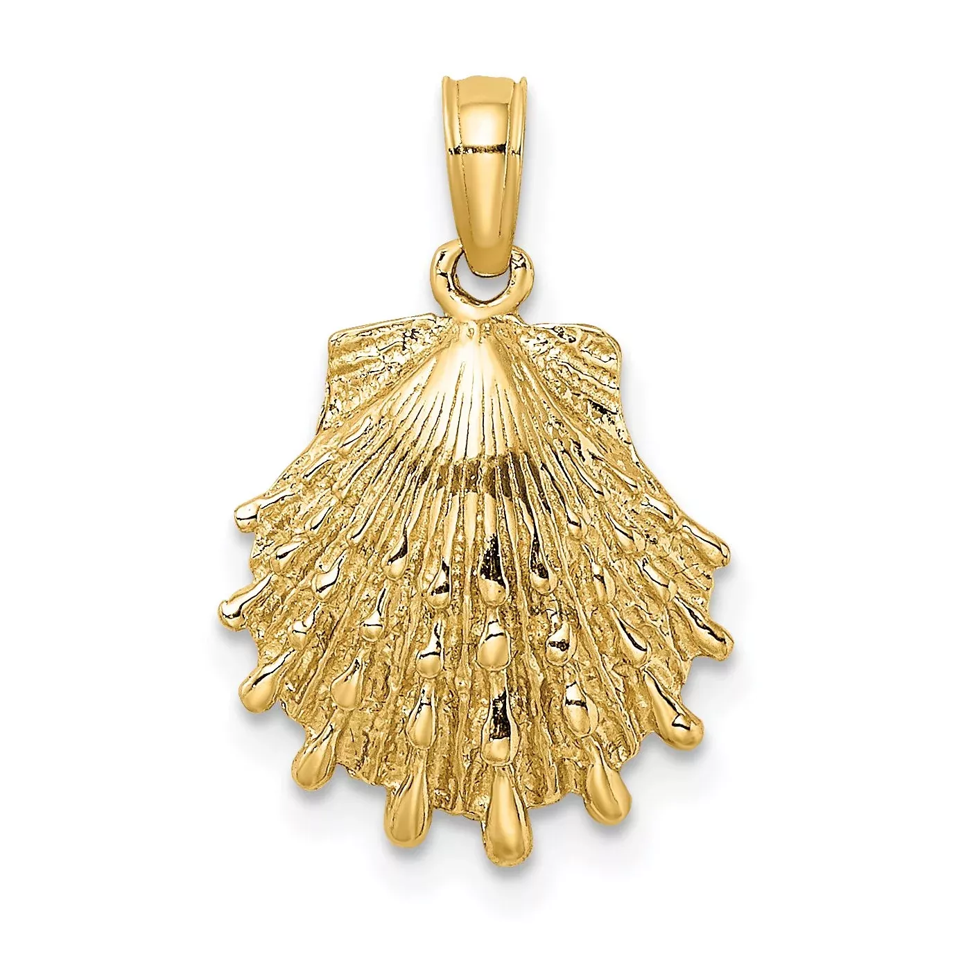 10K Lion’s Paw Shell Charm