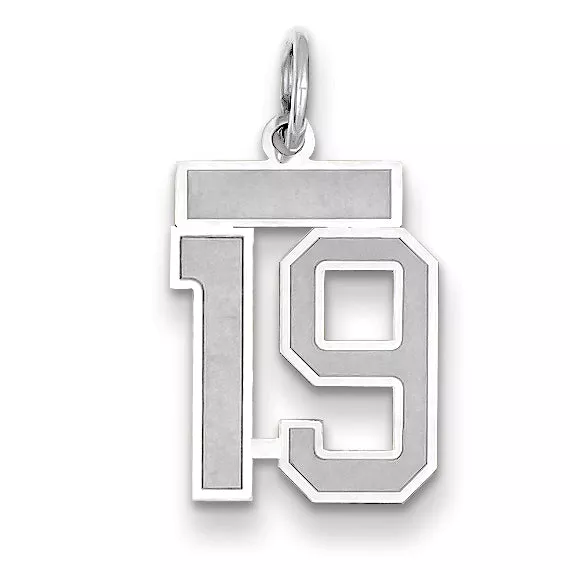 14K WG Small Satin Number 19 Charm