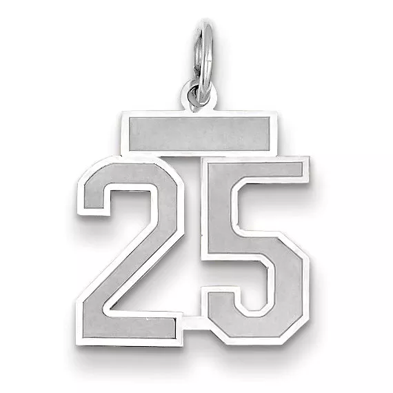 14K WG Small Satin Number 25 Charm