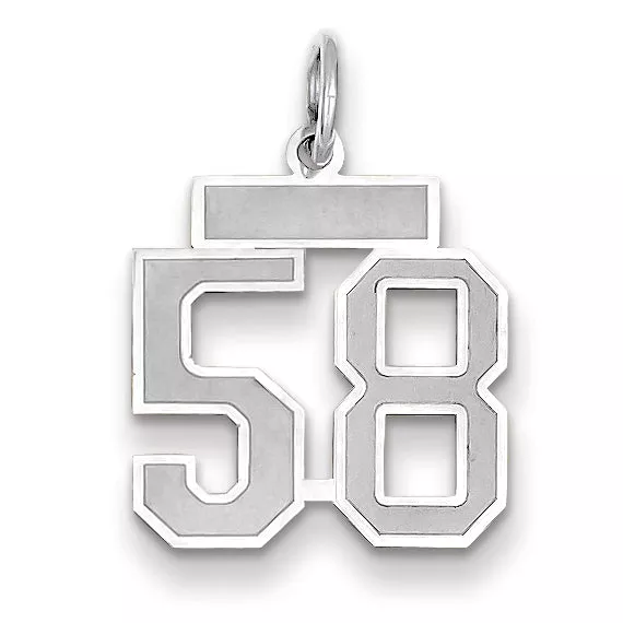 14K WG Small Satin Number 58 Charm