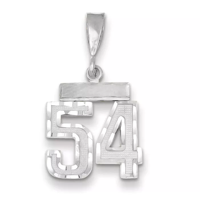 14K White Gold Small Diamond-cut Number 54 Charm