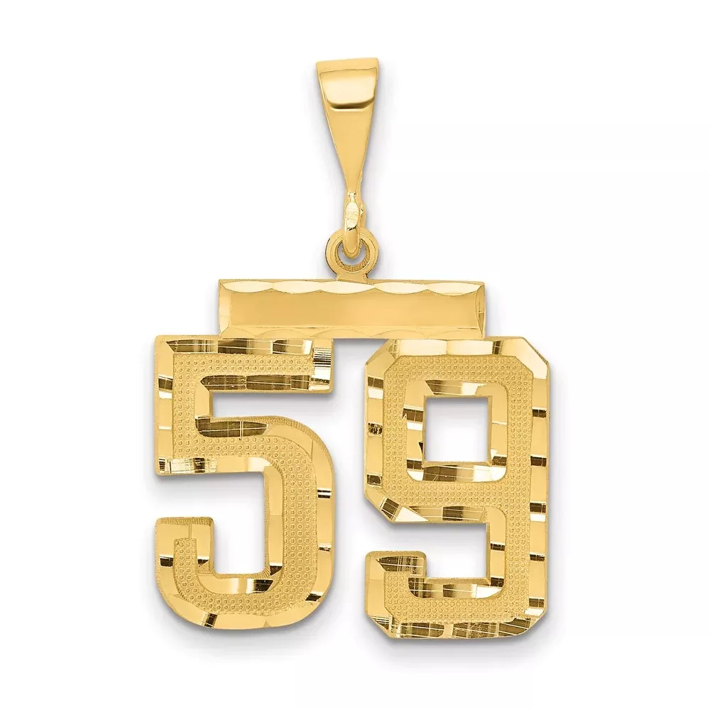 14k Yellow Gold Medium Diamond-cut Number 59 Charm