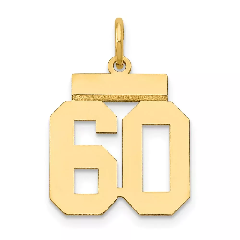 14k Yellow Gold Small Polished Number 60 Charm